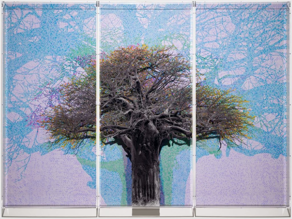 Charles Gaines Maps the Meanings of Ancient Baobab Trees in Meticulous Charts