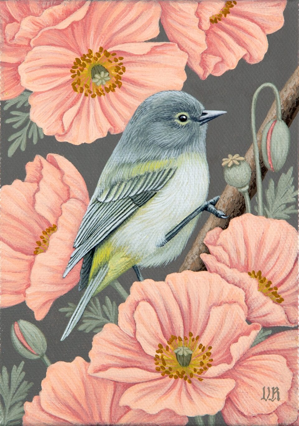 a small gray bird sits in pink flowers