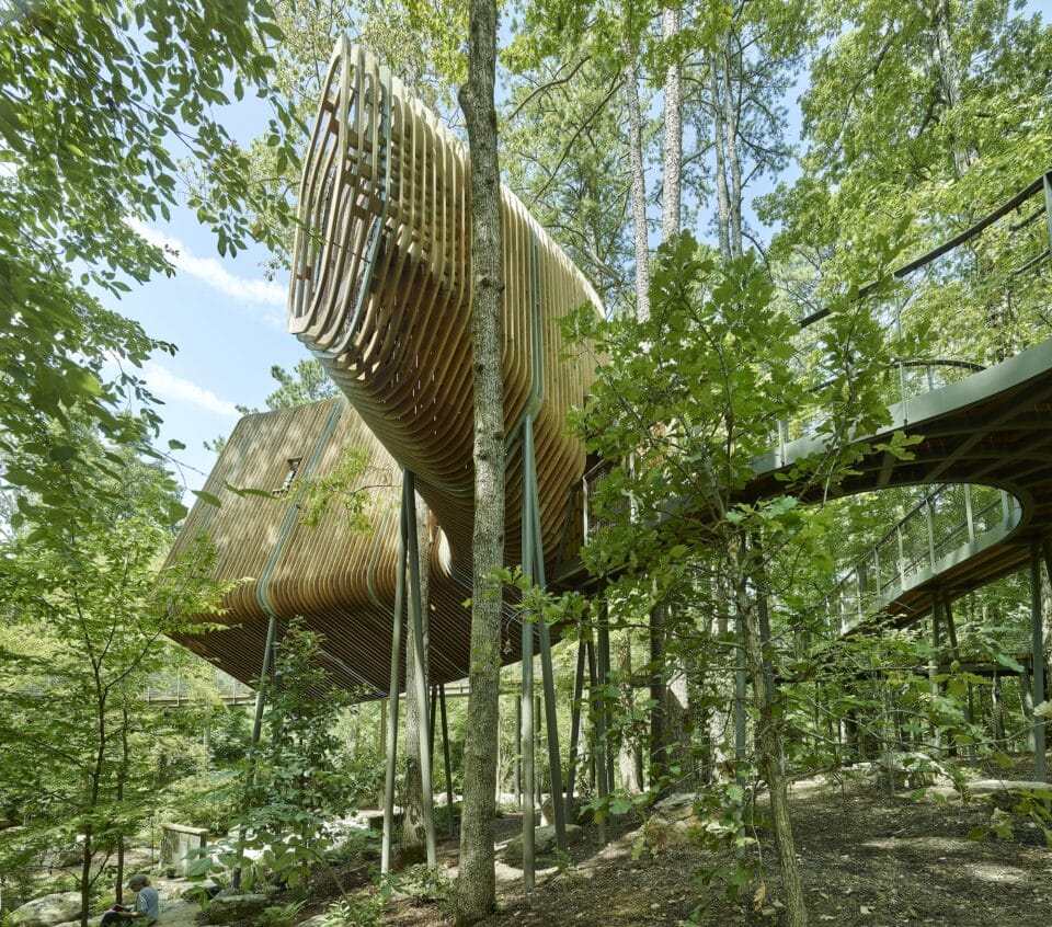 the exterior of a large contemporary treehouse in a public forest with elevated walkways and airy slats of wood in a boomerang shape