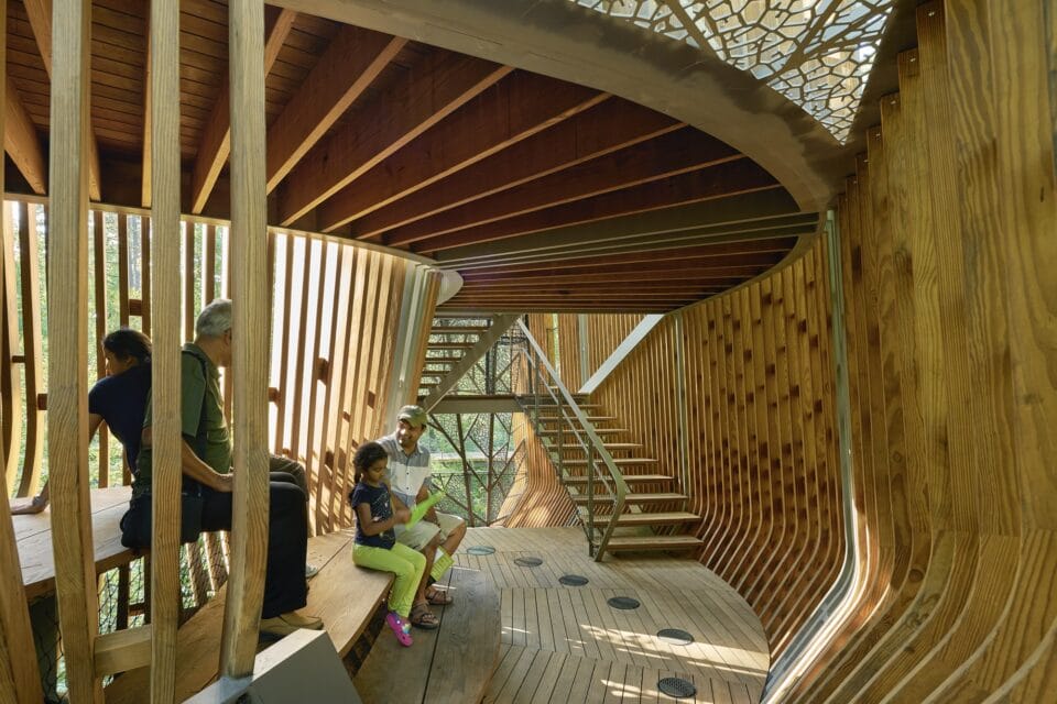 the interior of a contemporary, open-plan tree house in a public forest, featuring numerous stairwells and passages, surrounded by trees, with people inside for scale