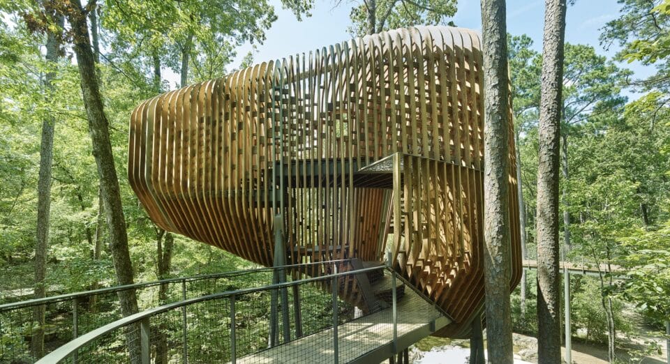 the exterior of a large contemporary treehouse in a public forest with elevated walkways and airy slats of wood