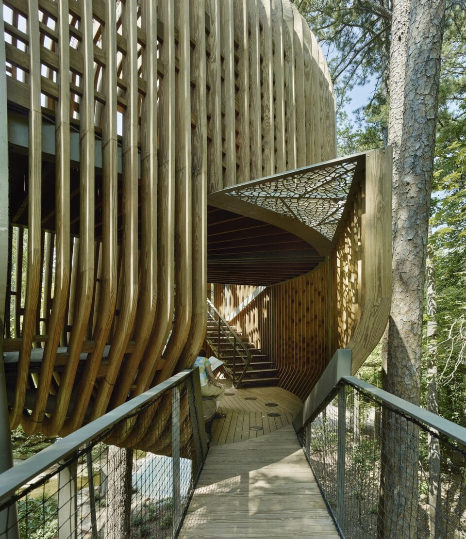 the exterior of a large contemporary treehouse in a public forest with elevated walkways and airy slats of wood