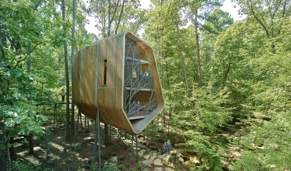 the exterior of a large contemporary treehouse in a public forest with elevated walkways and airy slats of wood