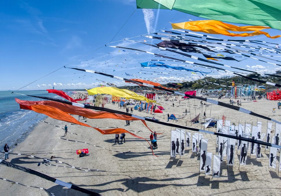 a kite festival
