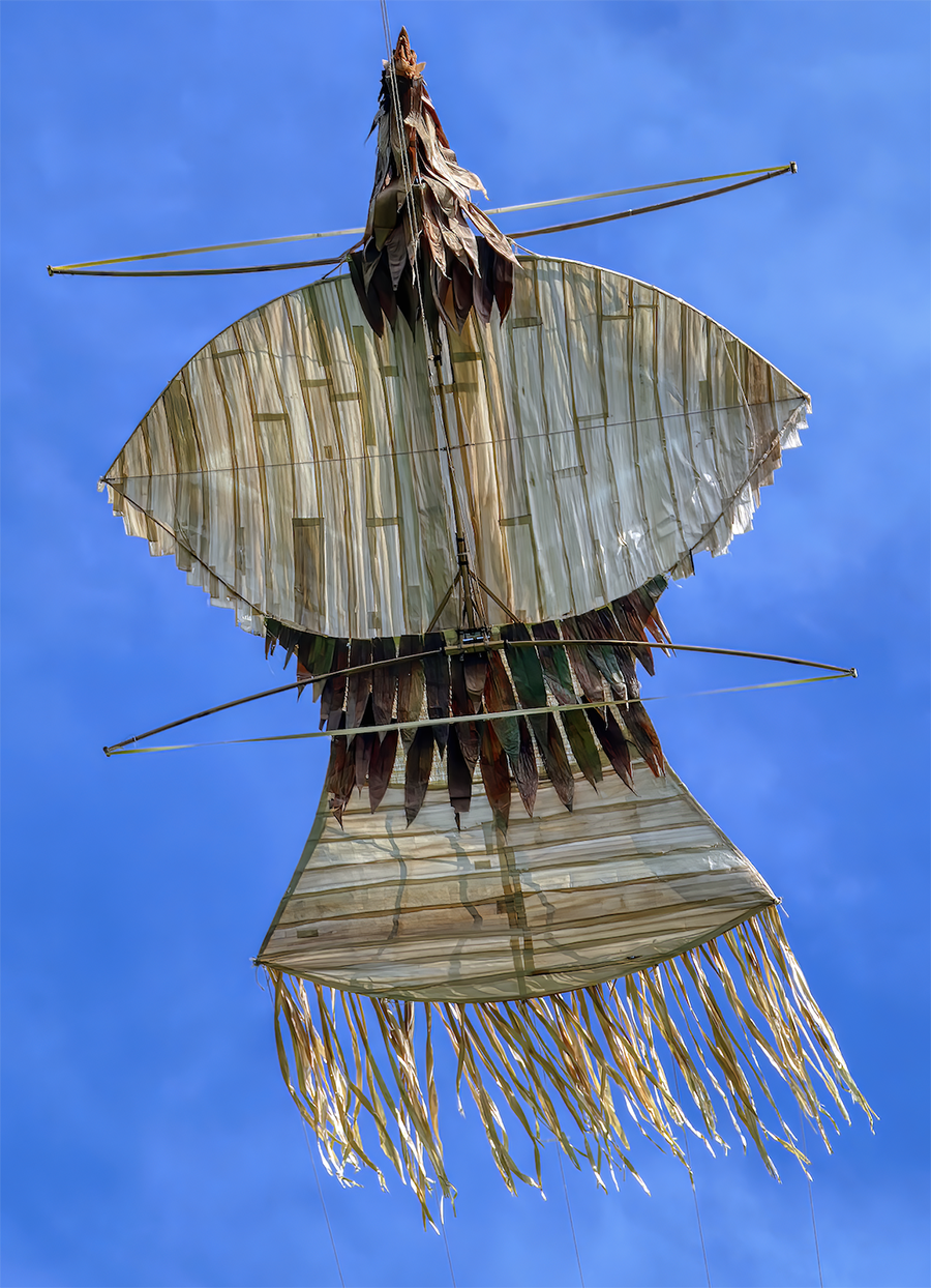 an insect like kite in the sky