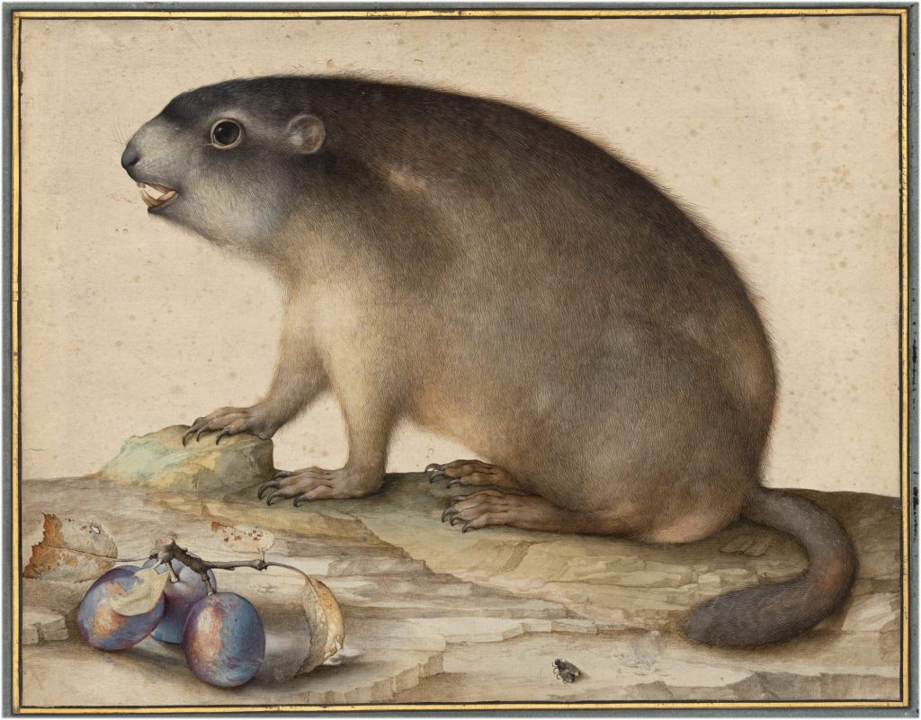 ‘Little Beasts’ Is a First-of-Its-Kind Museum Collaboration Reveling in Art and the Natural World
