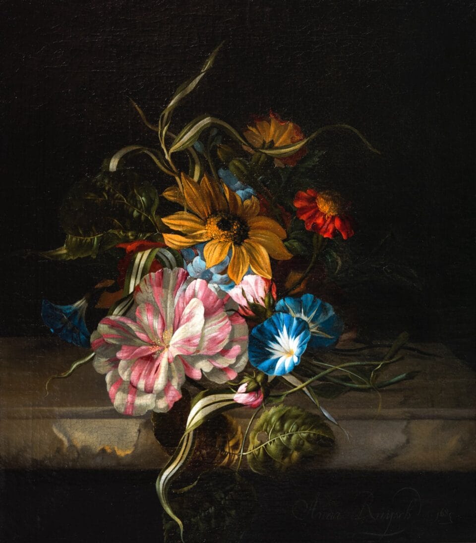 a colorful Dutch still life of flowers on a black background