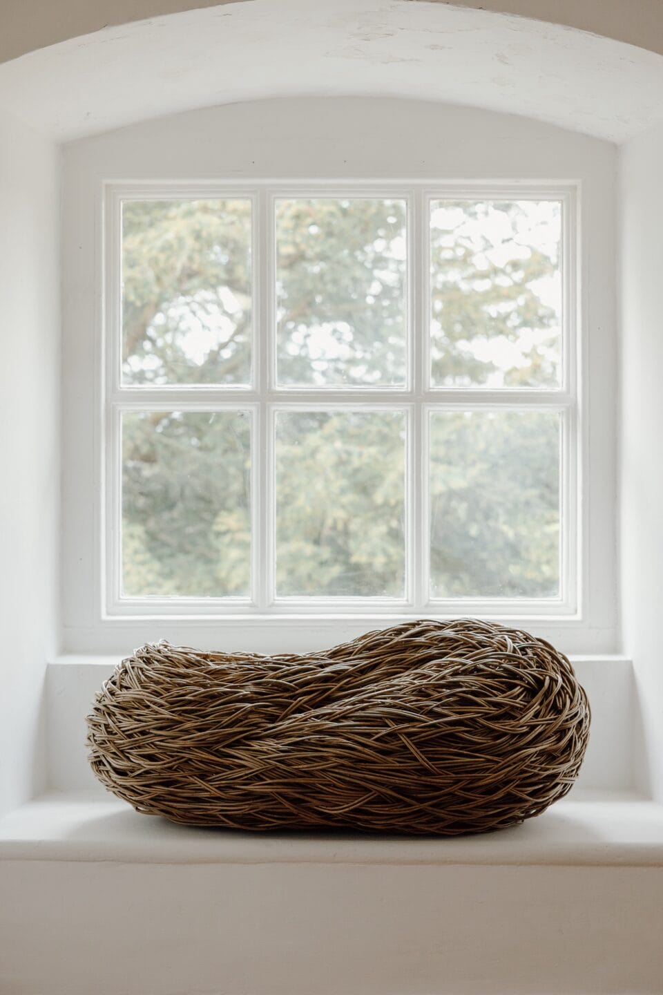 a sculpture made from woven willow that resembles a curled-up animal on a plinth in front of a window in a white room