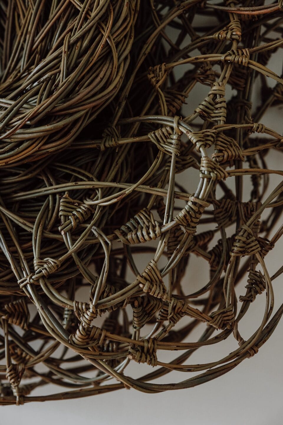 a detail of woven willow branches