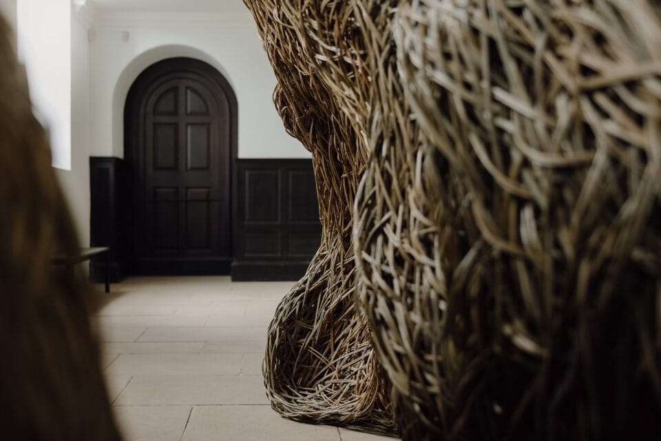 a detail of a sculptural installation that moves through an architectural space, made of woven willow branches