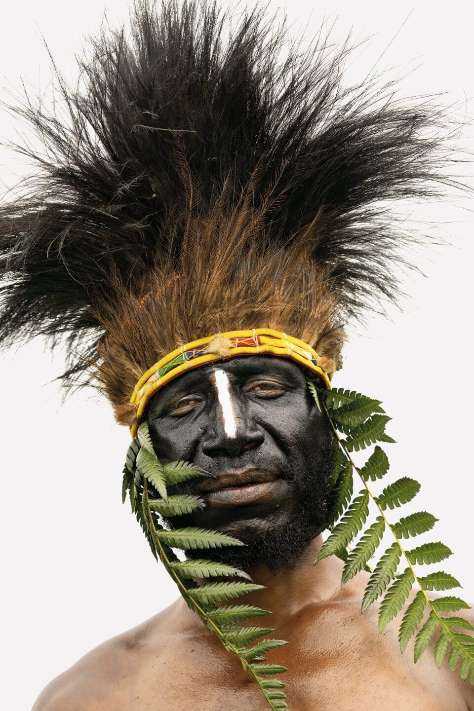 a portrait of an Indigenous man with dark face paint and ferns sticking out of each side of a large, feathered headdress