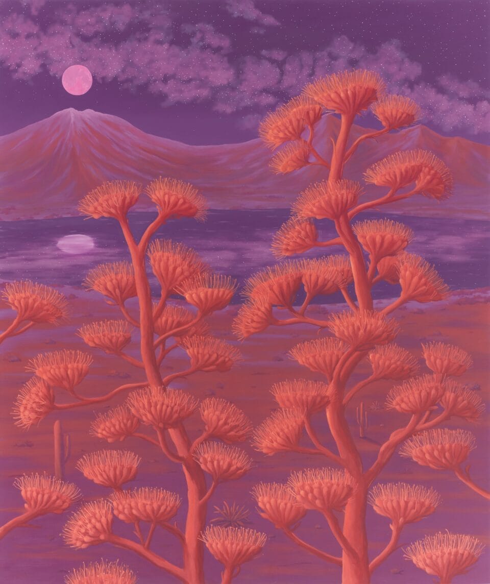 two pink plants in front of a mountain range and lake