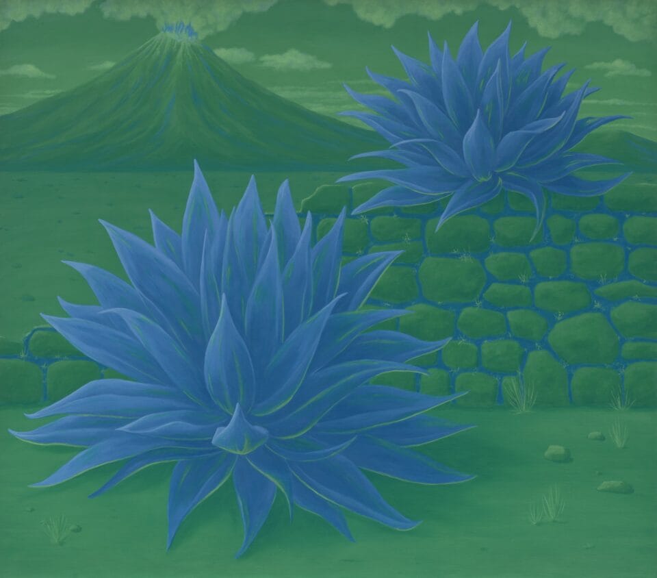 two blue agave plants in a green desert landscape